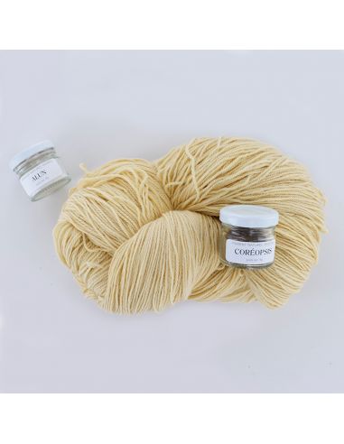 Kit de teinture végétale Coréopsis