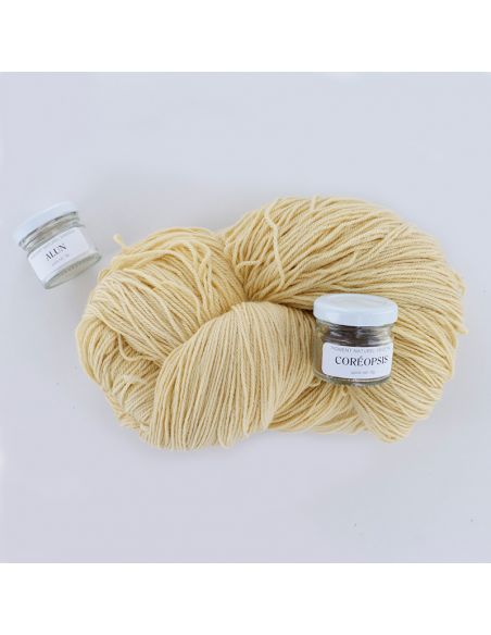 Kit de teinture végétale Coréopsis