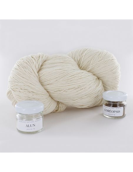 Kit de teinture végétale Coréopsis