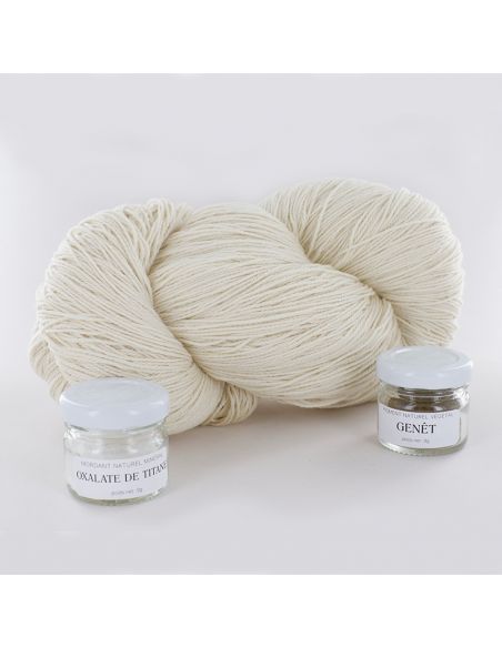 Kit de teinture végétale Genêt