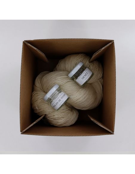 Kit de teinture végétale Genêt