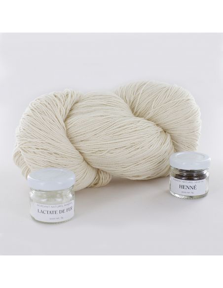 Kit de teinture végétale Hénné