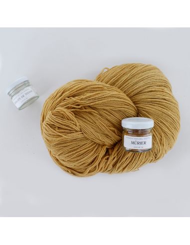 Kit de teinture végétale Mûrier