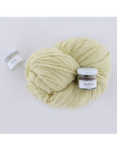 Kit de teinture végétale Réséda