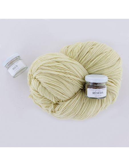 Kit de teinture végétale Réséda