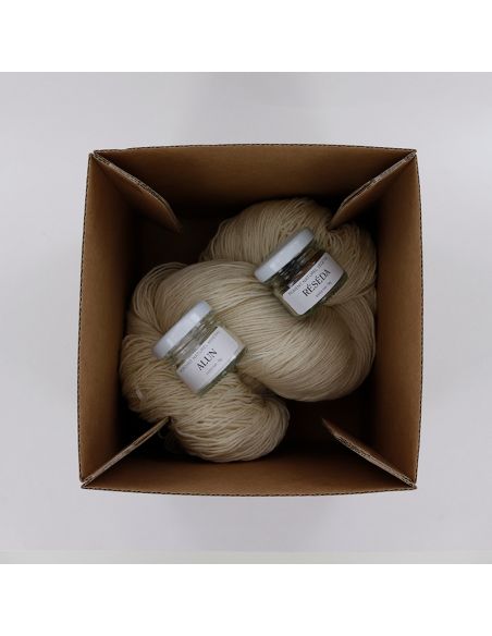 Kit de teinture végétale Réséda