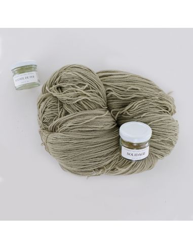 Kit de teinture végétale Solidage
