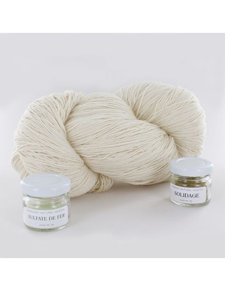 Kit de teinture végétale Solidage