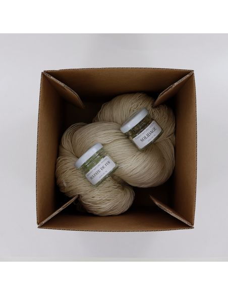 Kit de teinture végétale Solidage