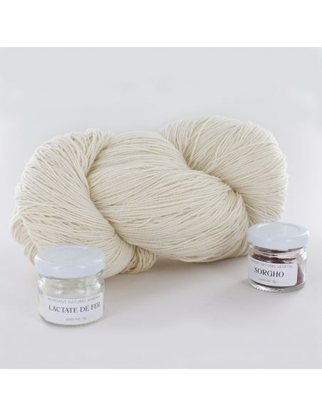 Kit de teinture végétale Sorgho