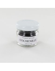 Pigment de Cochenille pour teinture végétale