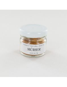 Pigment de Mûrier pour teinture végétale