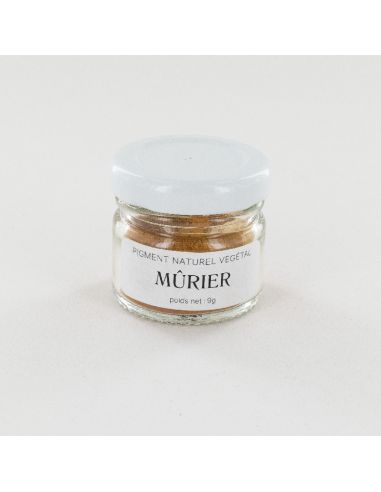 Pigment de Mûrier pour teinture végétale