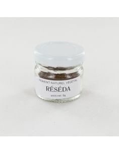 Pigment de Réséda pour teinture végétale