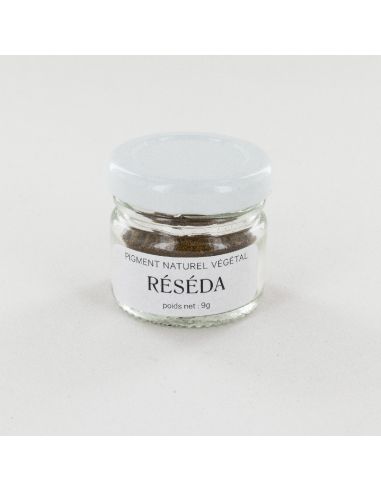 Pigment de Réséda pour teinture végétale