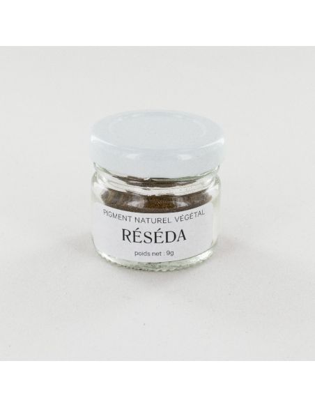 Pigment de Réséda pour teinture végétale