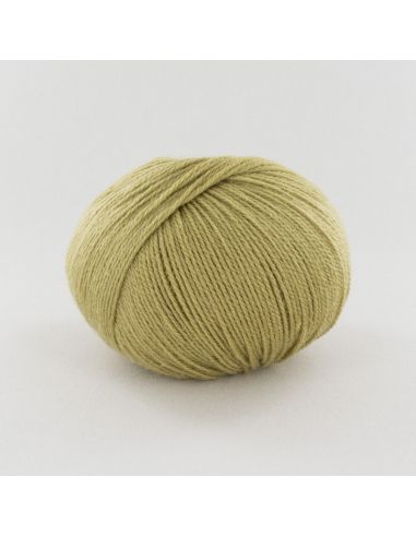 Pelote Fonty BB Merinos col 961 vert chenille
