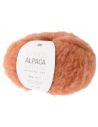 Pelote Fashion alpaca superfine heavens uni argile