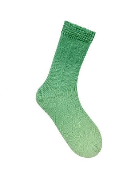 Pelote Rico socks dégradé 4 fils vert