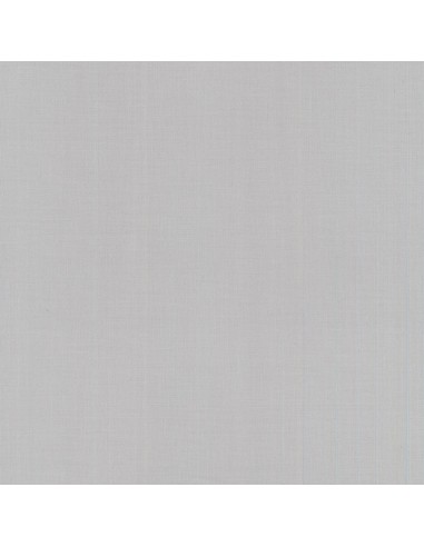 Tissu en coton Swan solid Pigeon