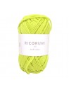 Pelote Creative Ricorumi dk vert clair