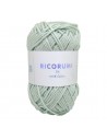 Pelote Creative Ricorumi dk vert glacé