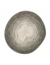 Pelote Creative wool dégradé écru