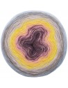 Pelote Creative wool dégradé super 6 pastel